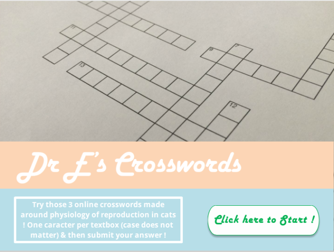 crosswordENG